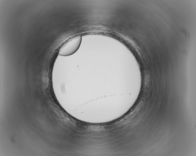 X0000110741407200907271052