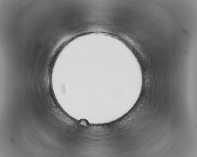 X0000110741408200907271052