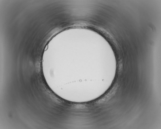 X0000110741409200907271052