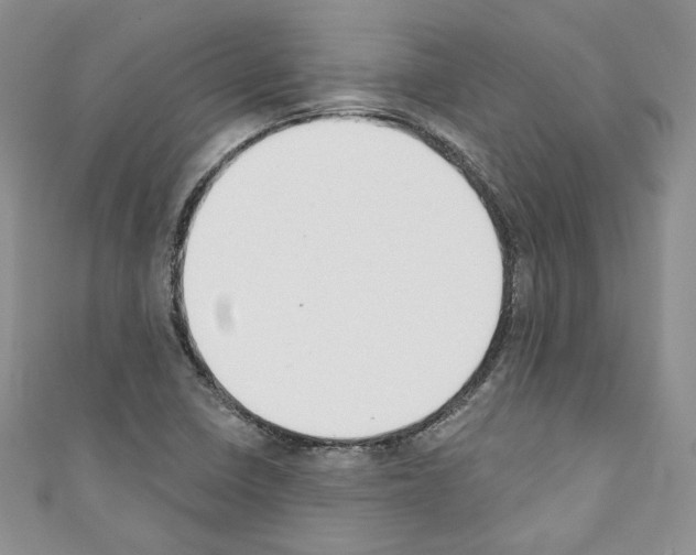 X0000110741410200907271052