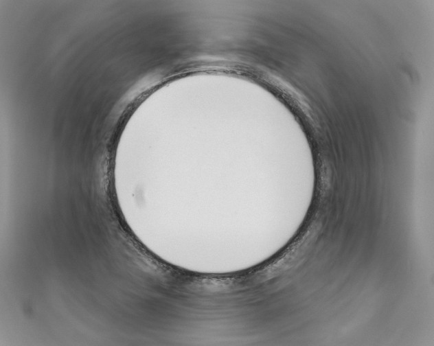 X0000110741411200907271052