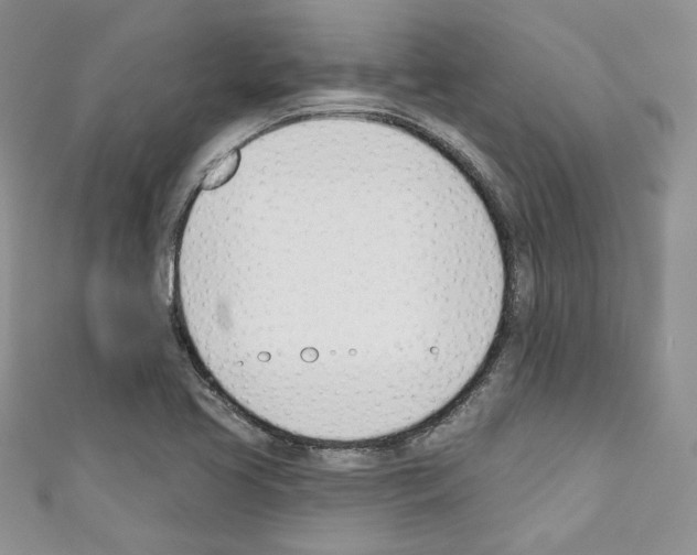 X0000110741413200907271052
