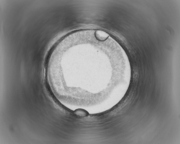 X0000110741414200907271052
