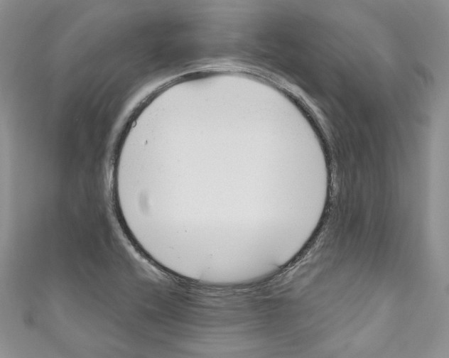 X0000110741416200907271052