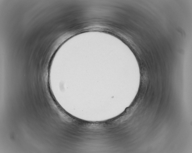 X0000110741418200907271052