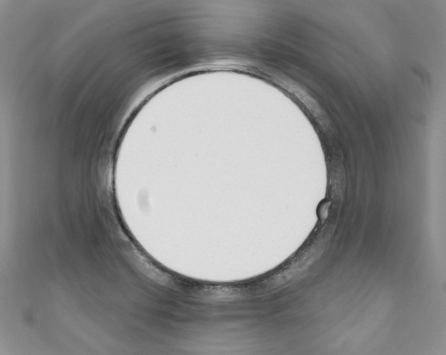 X0000110741420200907271052