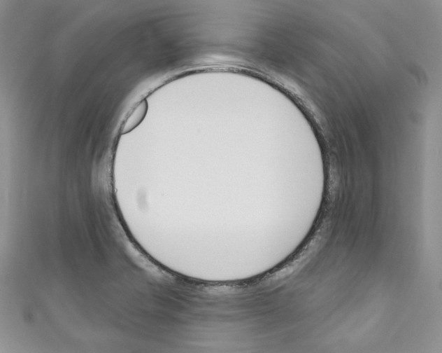 X0000110741421200907271052