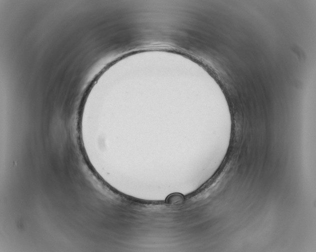 X0000110741422200907271052