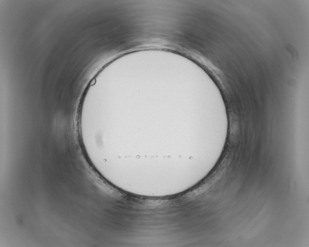 X0000110741423200907271052