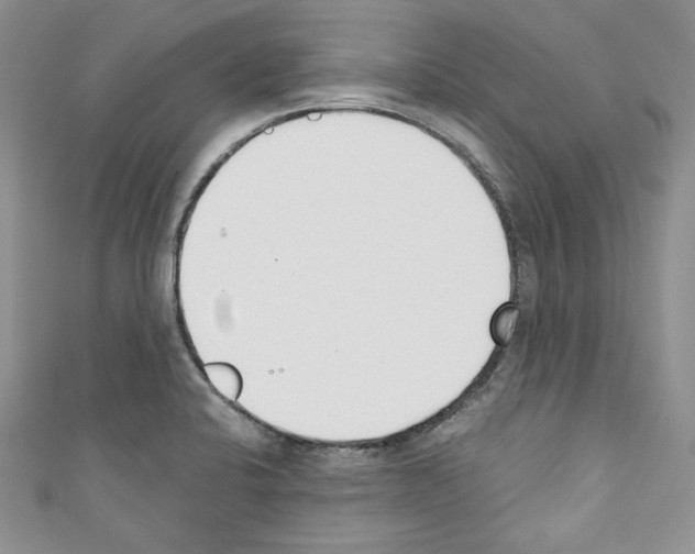X0000110741424200907271052