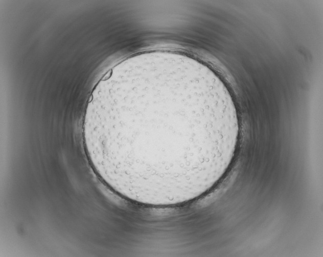 X0000110741425200907271052
