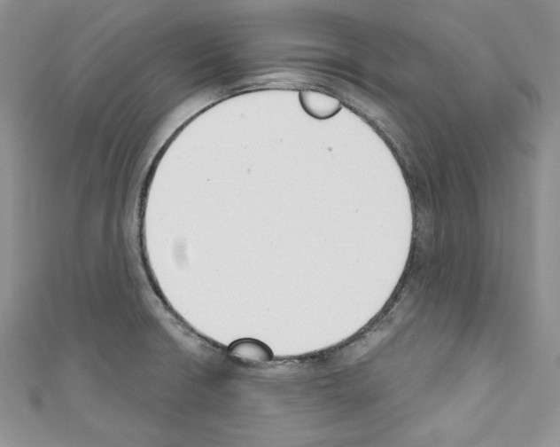 X0000110741426200907271052
