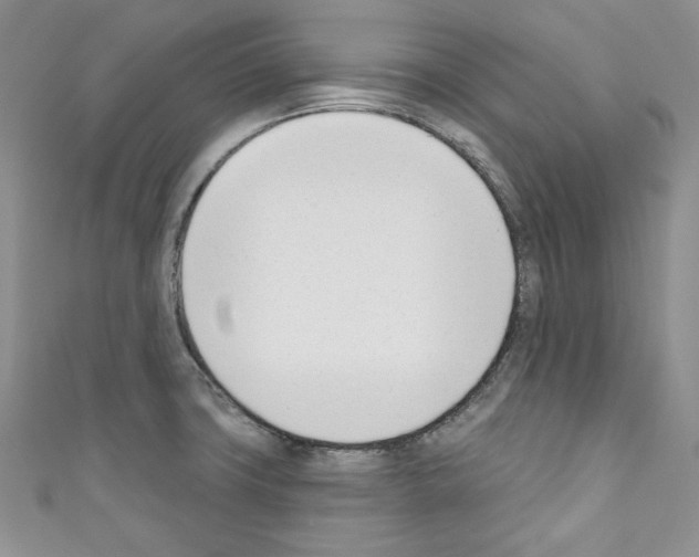 X0000110741427200907271052