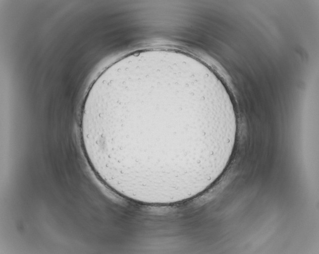 X0000110741429200907271052