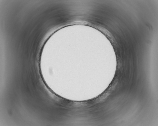 X0000110741430200907271052