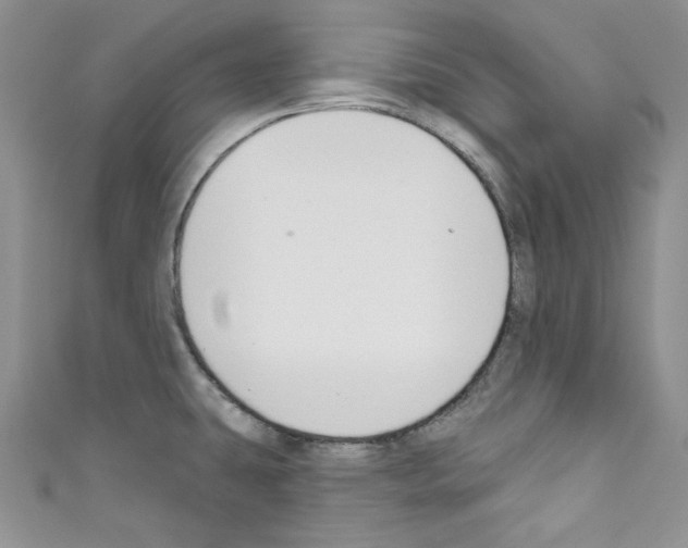 X0000110741431200907271052