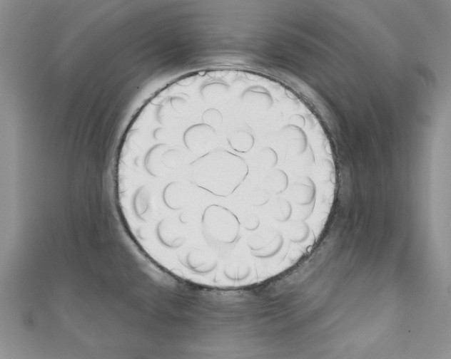 X0000110741432200907271052