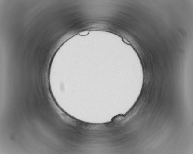 X0000110741434200907271052