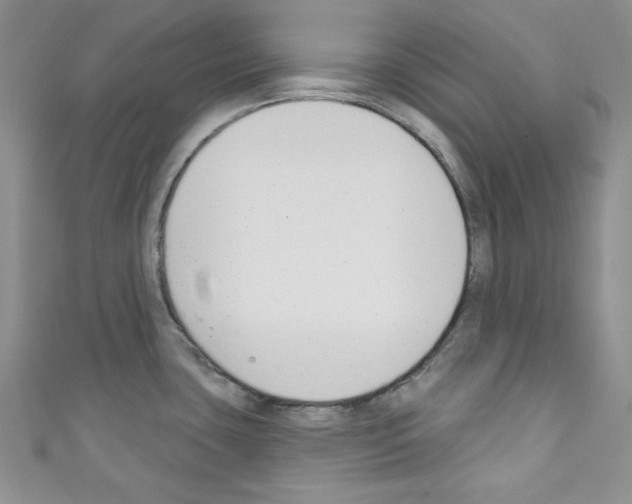 X0000110741435200907271052