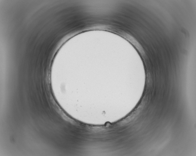X0000110741436200907271052