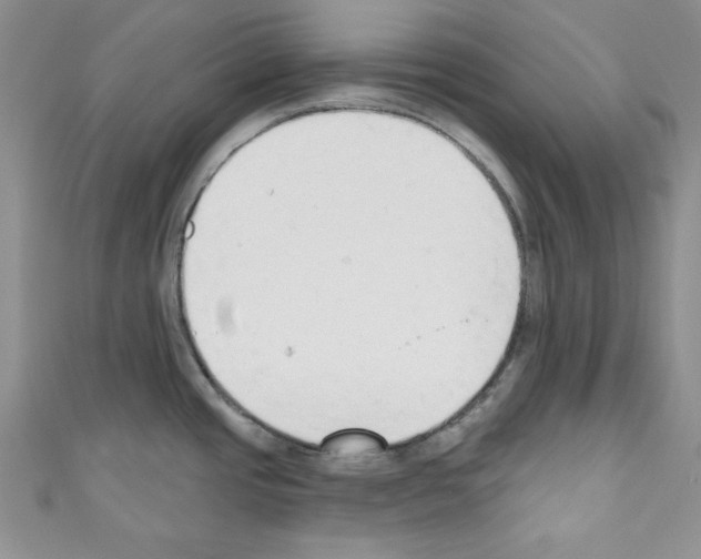 X0000110741437200907271052