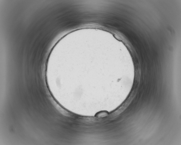 X0000110741438200907271052