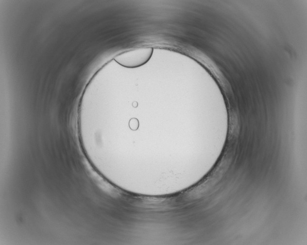 X0000110741439200907271052