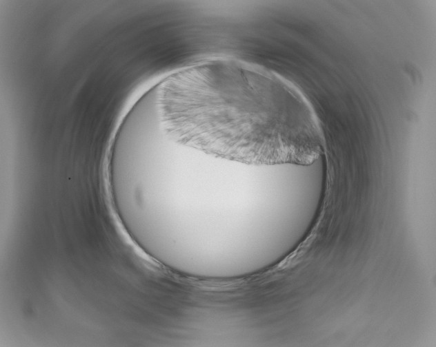 X0000110741440200907271052