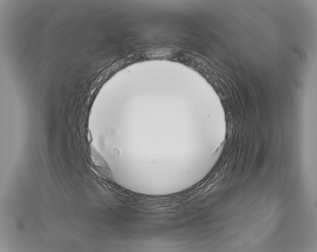X0000110741441200907271052