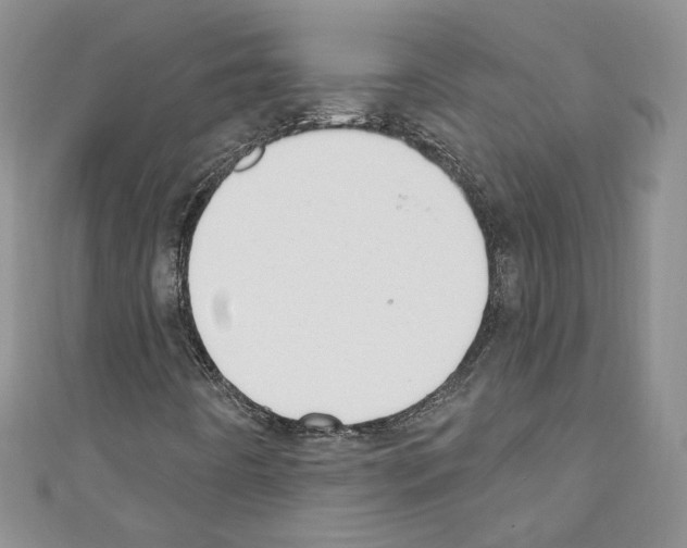 X0000110741442200907271052