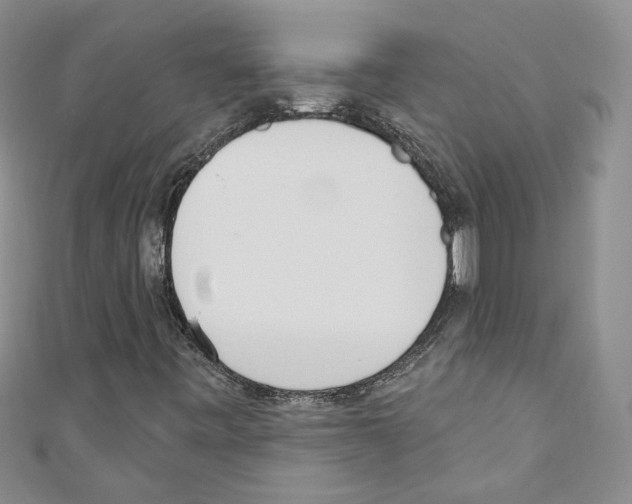 X0000110741443200907271052