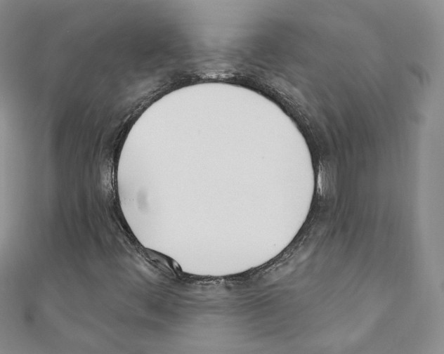 X0000110741444200907271052