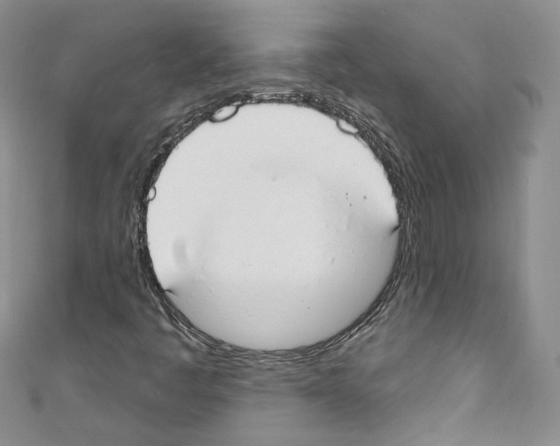 X0000110741445200907271052