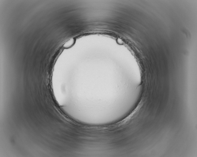 X0000110741449200907271052
