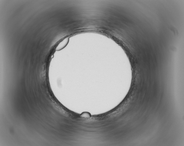 X0000110741450200907271052