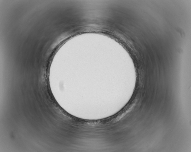 X0000110741453200907271052