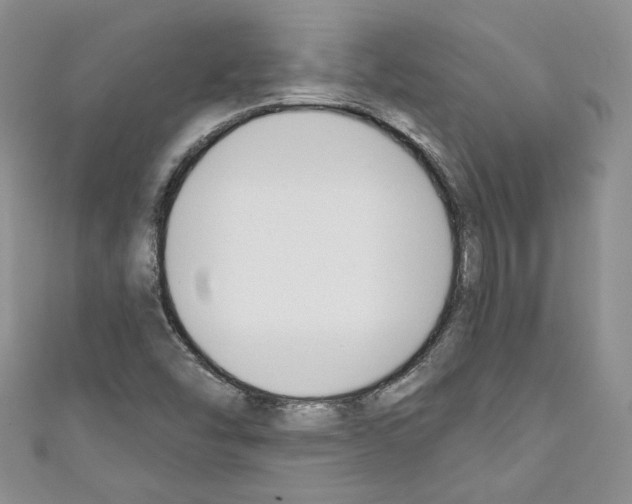 X0000110741454200907271052