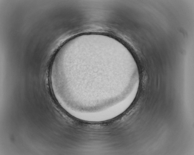 X0000110741455200907271052