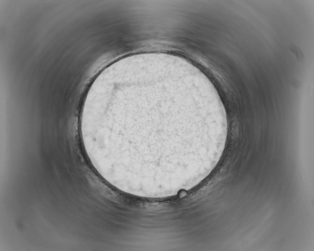 X0000110741459200907271051