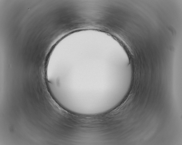 X0000110741460200907271051