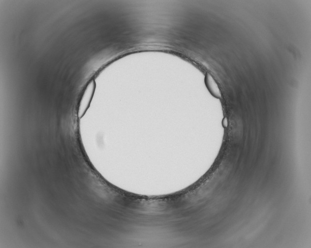 X0000110741461200907271051