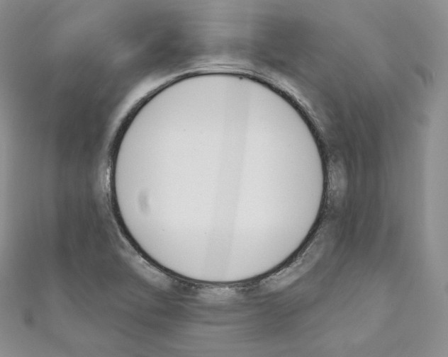 X0000110741462200907271051