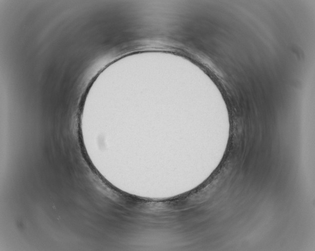 X0000110741463200907271051