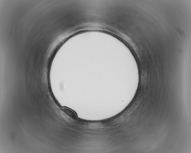 X0000110741464200907271051