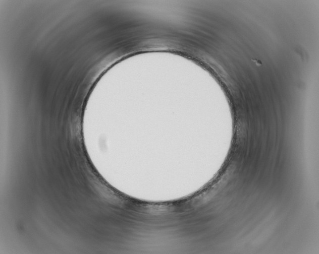 X0000110741465200907271051