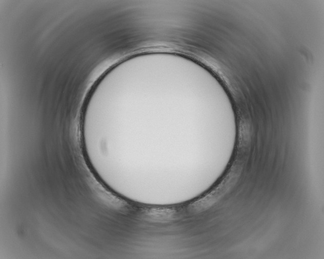 X0000110741466200907271051