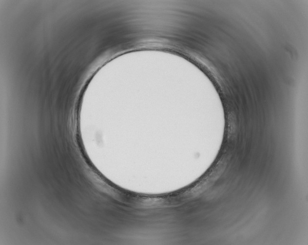 X0000110741467200907271051