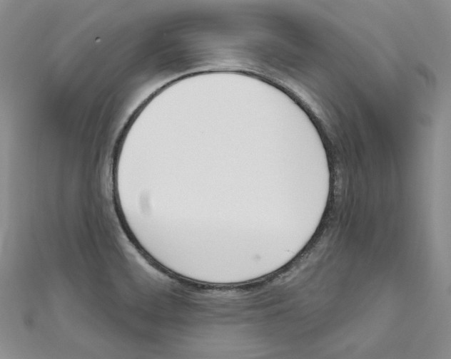 X0000110741468200907271051