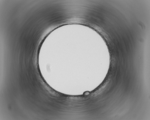 X0000110741469200907271051