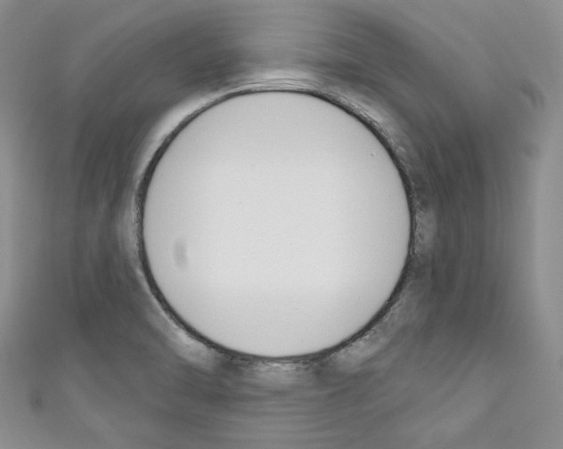 X0000110741470200907271051